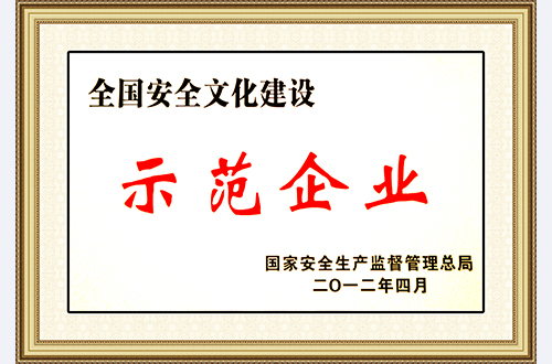 全国安全文化建设示范企业